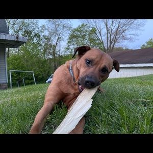 Meet your Posher, Sean